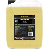 FORTELA средство для очистки двигателя Motor FORTELA средство для очистки двигателя Motor