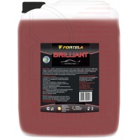 FORTELA очиститель стекол Brilliant FORTELA очиститель стекол Brilliant